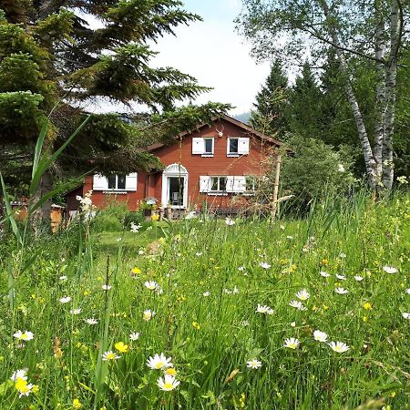 Chalet Chic Wildhaus Esterno foto