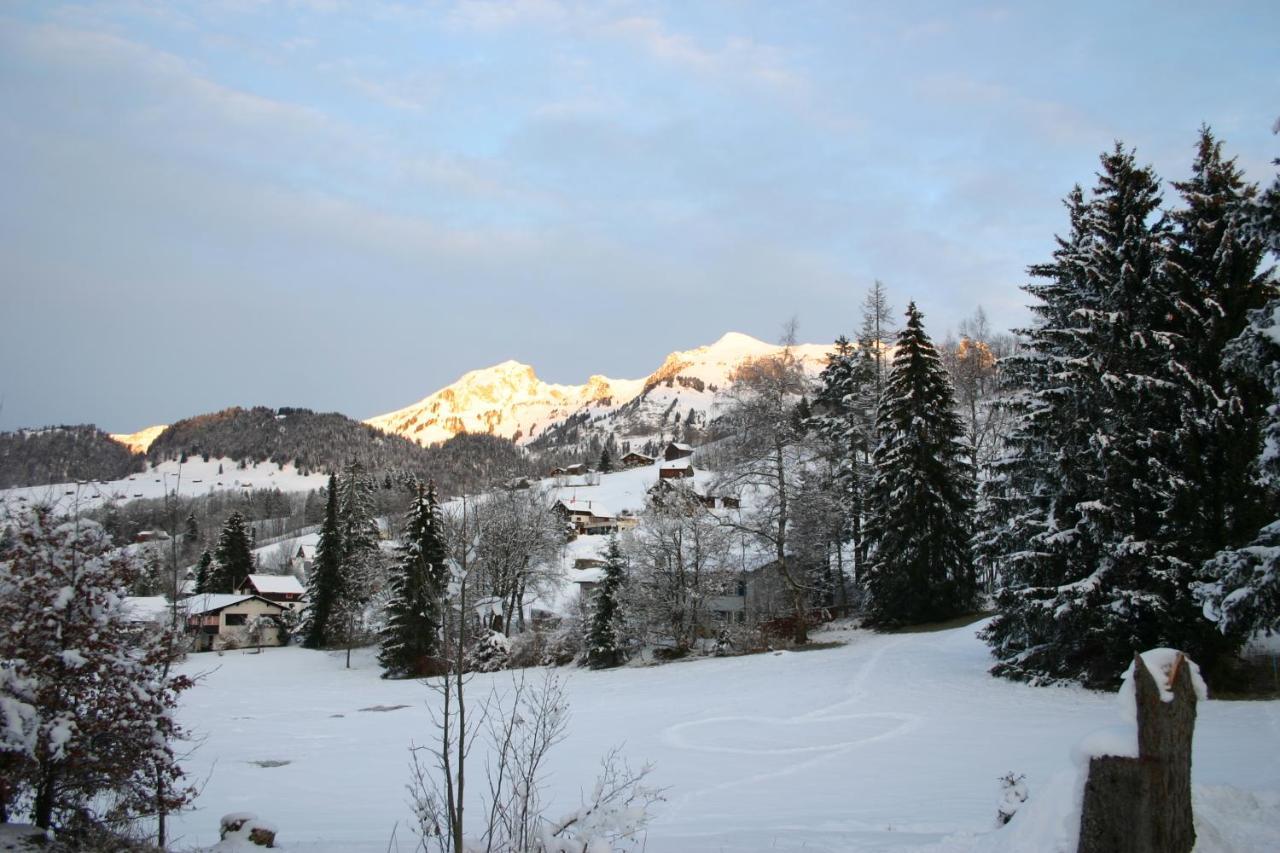 Chalet Chic Wildhaus Esterno foto