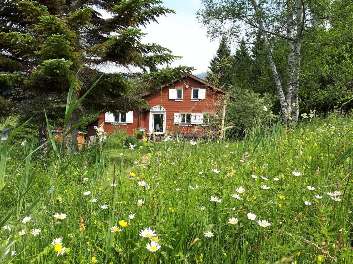 Chalet Chic Wildhaus Esterno foto